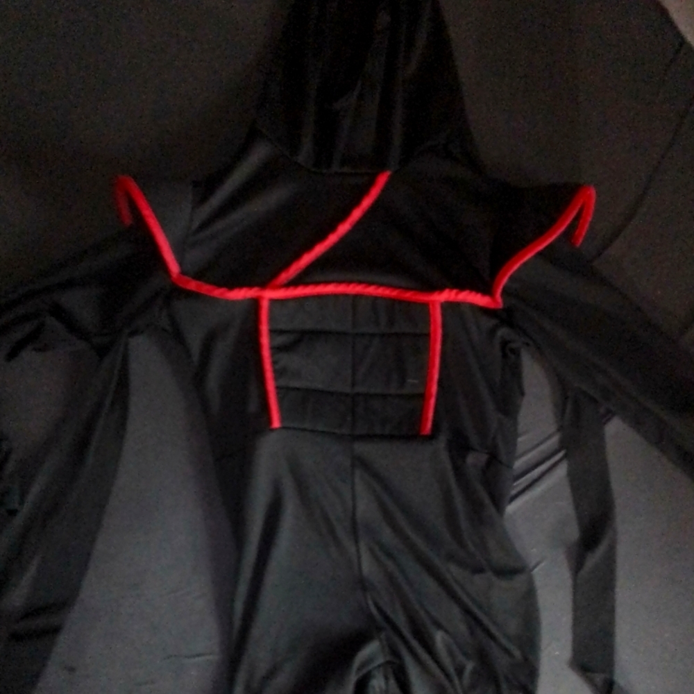Ninja costume
